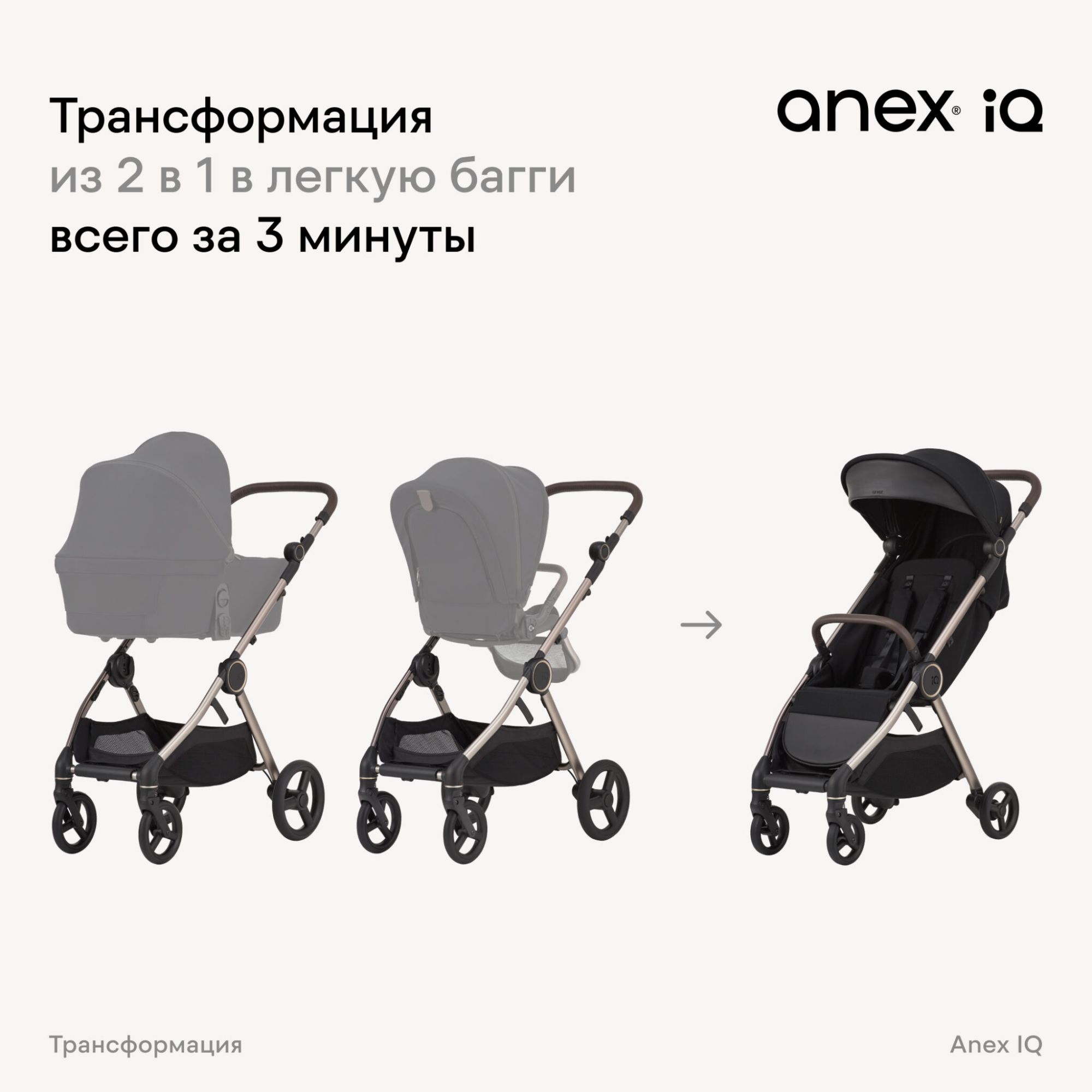 iq-nt-1-2048x2048